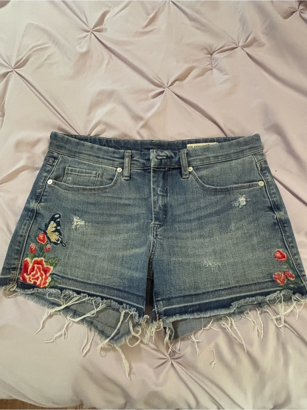 BLANKNYC Embroidered Denim Shorts Size 28 Distressed Floral Butterfly Raw Hem